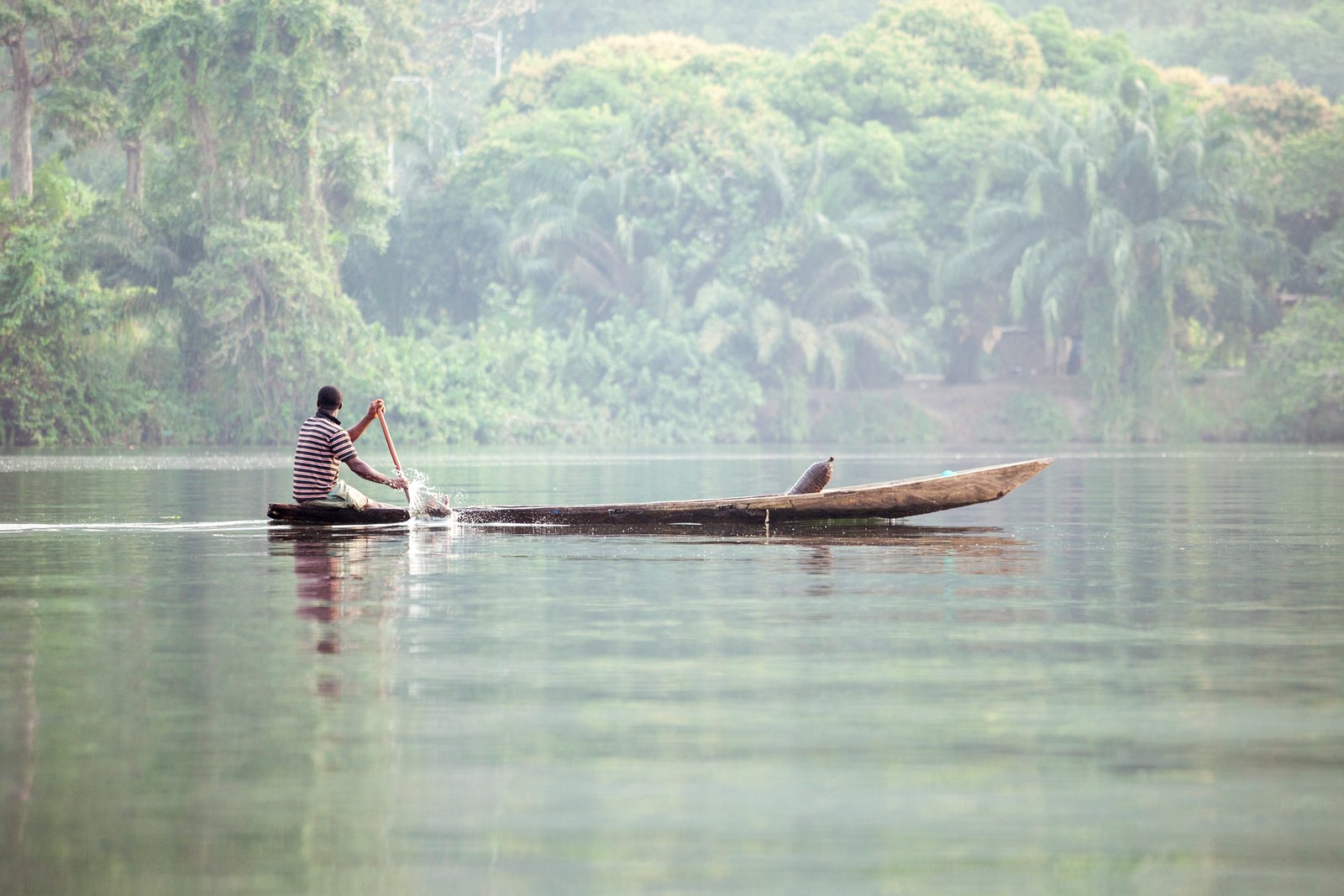 Ghana-wetlands-biodiversity-West Africa